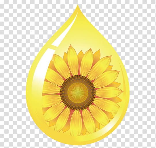 Common sunflower Sunflower oil Sunflower seed, Creative sunflower oil transparent background PNG clipart