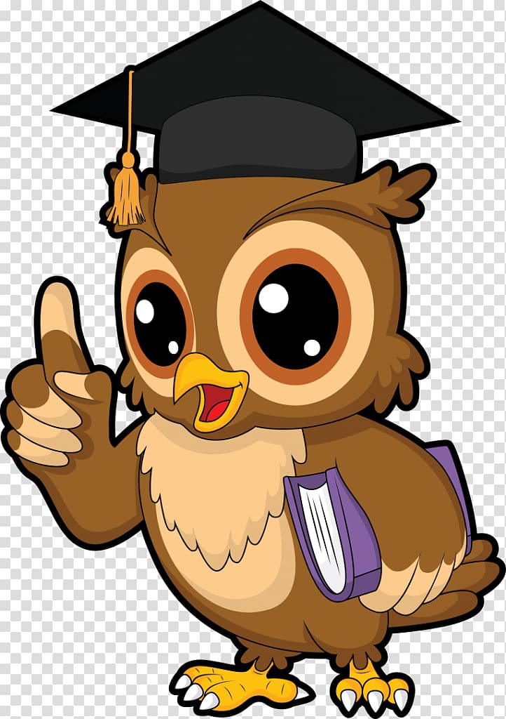 owl wearing mortar board , Owl Bird Science, technology, engineering, and mathematics , owl transparent background PNG clipart