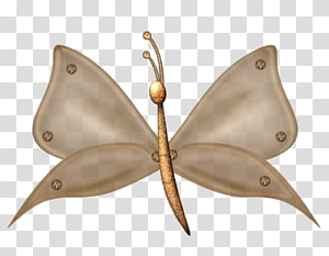 Butterfly, butterfly transparent background PNG clipart thumbnail