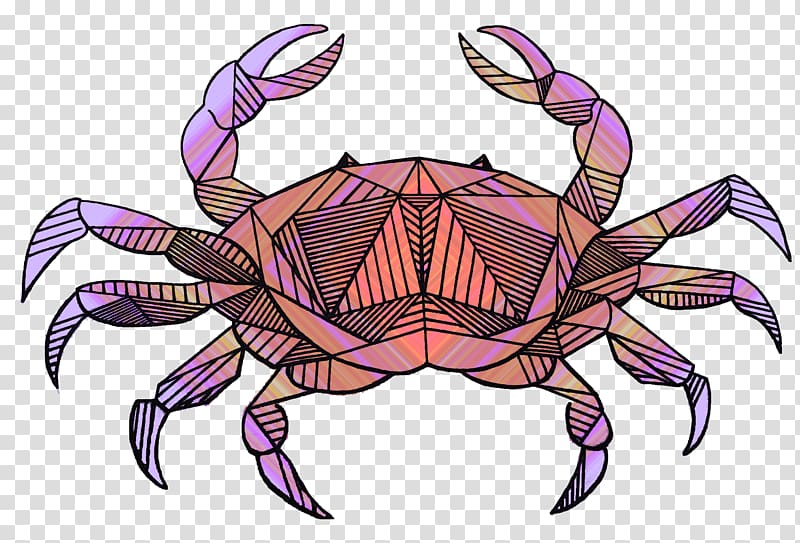 Dungeness crab Drawing Cancer, crab transparent background PNG clipart