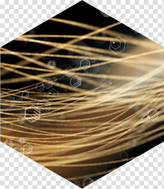 Hair loss Minoxidil Human hair growth Lotion, hair loss transparent background PNG clipart