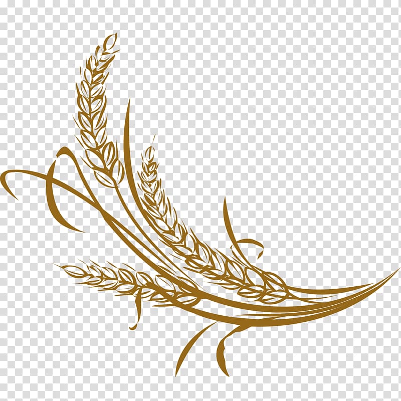 Rice Adobe Illustrator, Handmade wheat transparent background PNG clipart