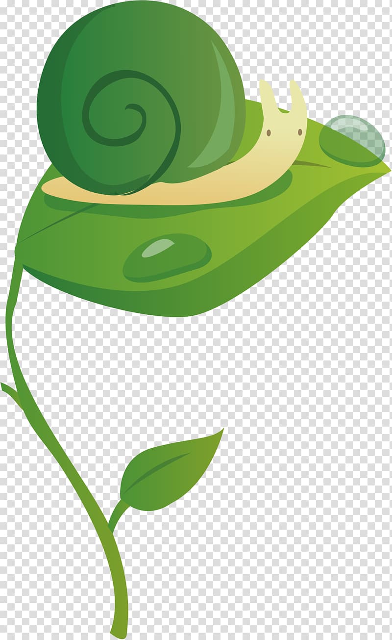 , Green Snail transparent background PNG clipart
