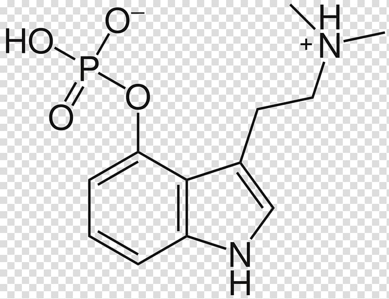 Psilocybin mushroom Psychedelic drug Psilocin Liberty cap, formula 1 transparent background PNG clipart