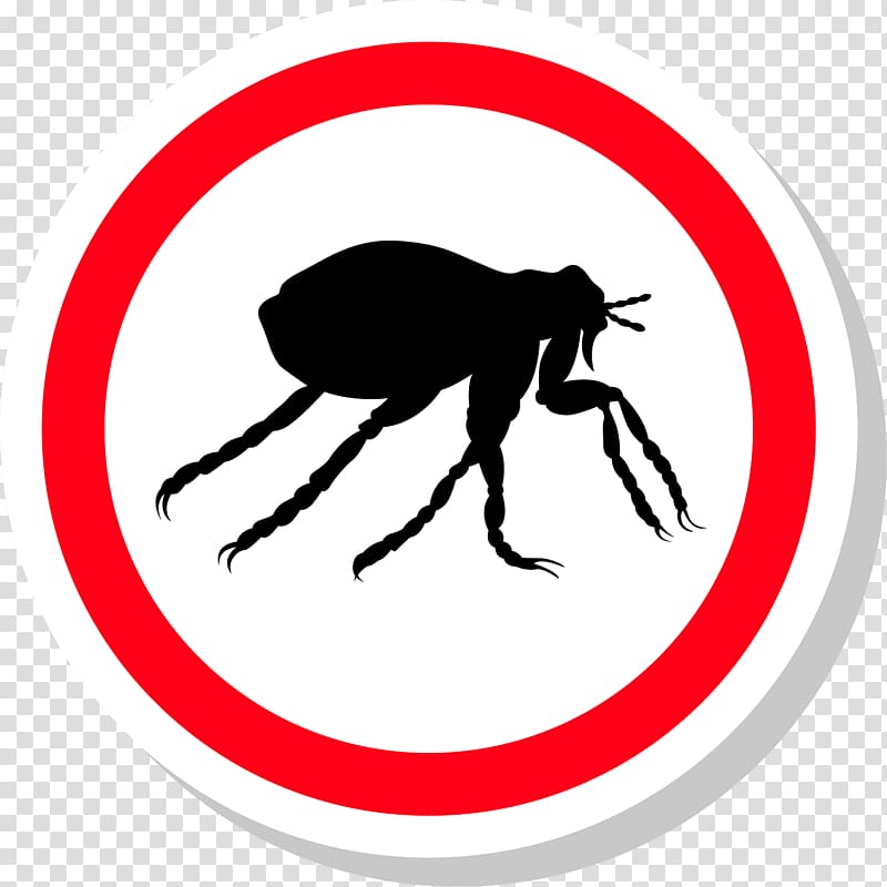 Insect Pest Control Flea treatments, flea transparent background PNG clipart