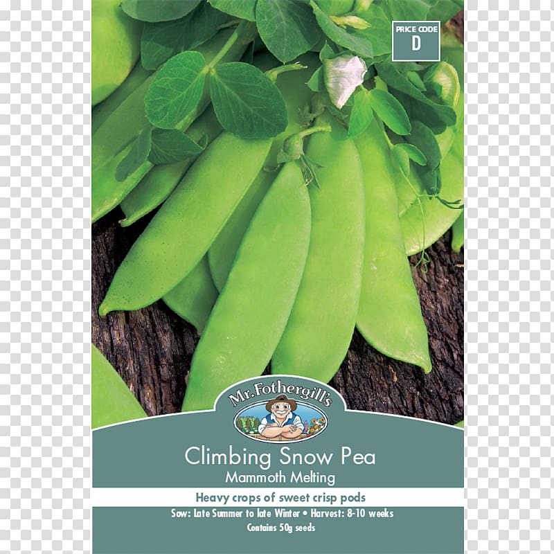 Snow pea Mammoth Lakes Seed Vegetable, snow pea transparent background PNG clipart