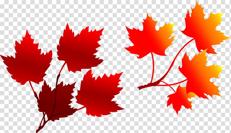 Autumn Deciduous Leaf Illustration, Maple Leaf transparent background PNG clipart