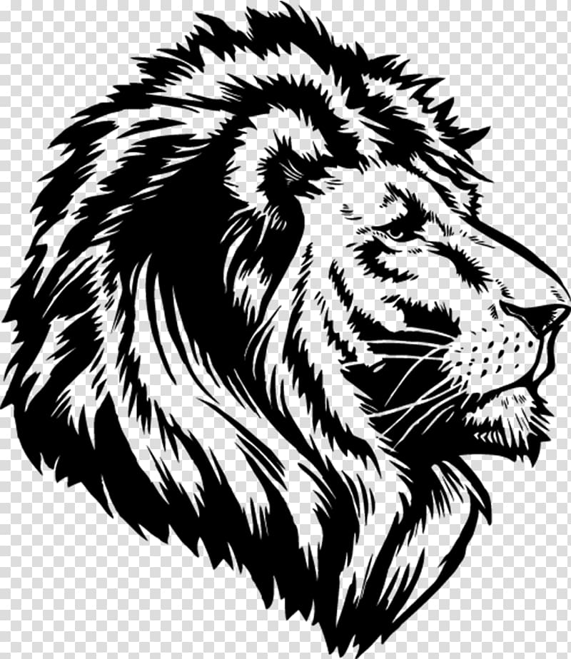 Lion T-shirt , Lioness Roar transparent background PNG clipart
