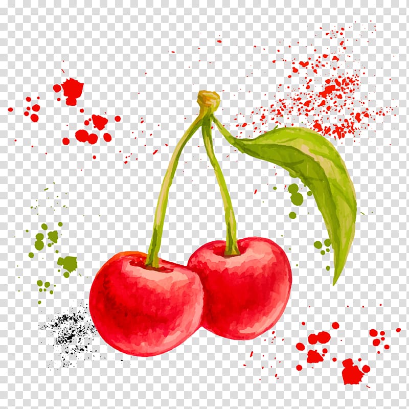 cherry , Watercolor painting Drawing Fruit Illustration, watercolor cherry transparent background PNG clipart