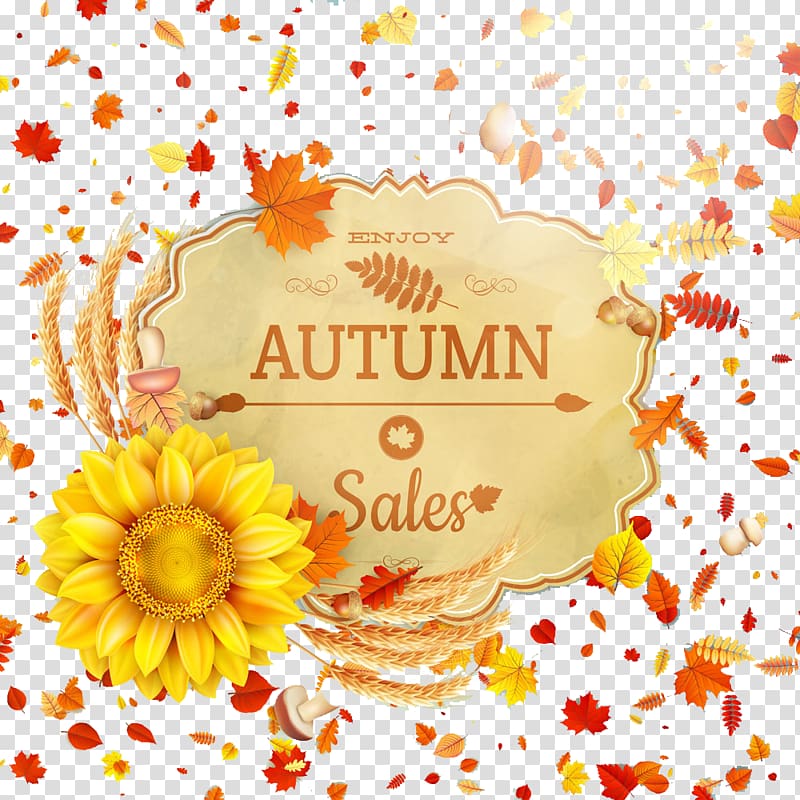 Autumn Leaf, Autumn Border transparent background PNG clipart