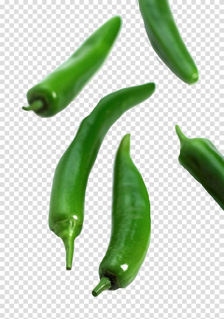 Serrano pepper Birds eye chili Jalapexf1o Bell pepper Cayenne pepper, Vegetable pepper transparent background PNG clipart