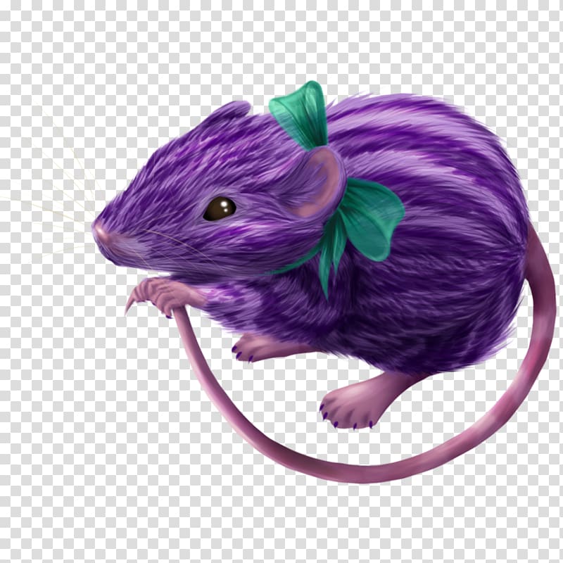 Rat Gerbil Computer mouse, rat transparent background PNG clipart