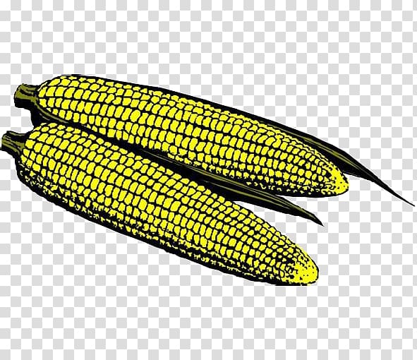 Corn on the cob Maize Comics, Cartoon corn transparent background PNG clipart