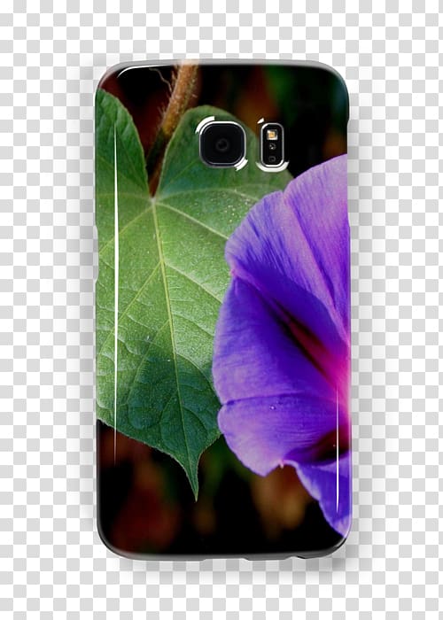 Samsung Galaxy iPhone iPad mini Portable Network Graphics Telephone, morning glory leaves transparent background PNG clipart