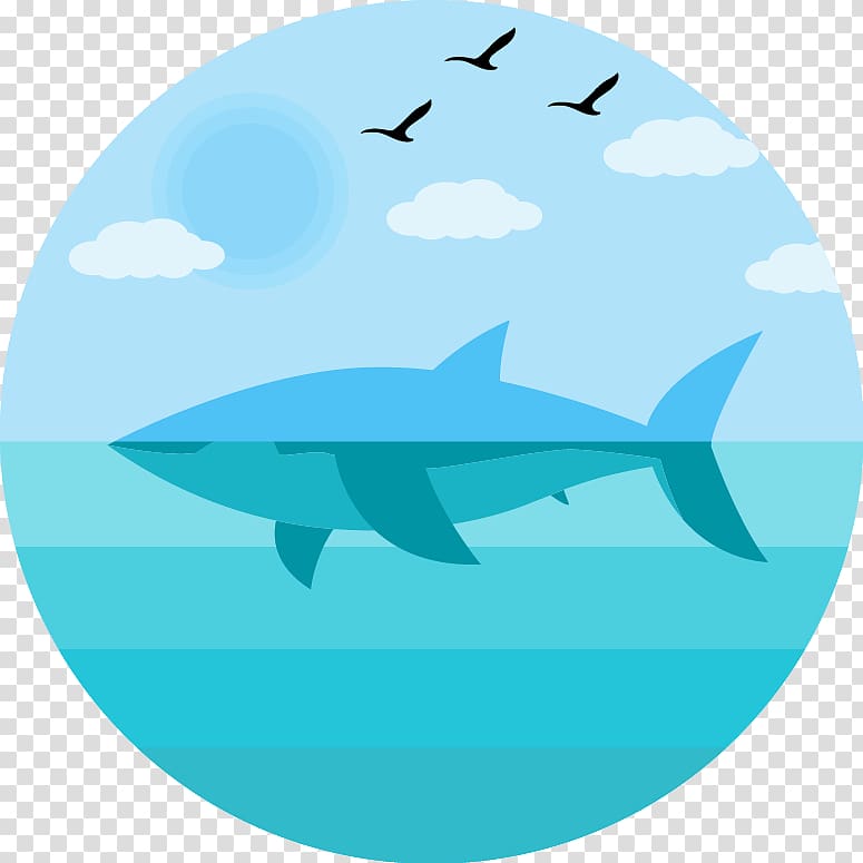 Student Lesson plan Science Middle school, Shark sea transparent background PNG clipart
