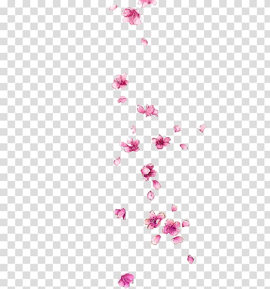 pink flowers falling illustration, Petal Flower, Falling Plum transparent background PNG clipart