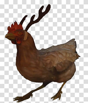 Chicken Gun png images