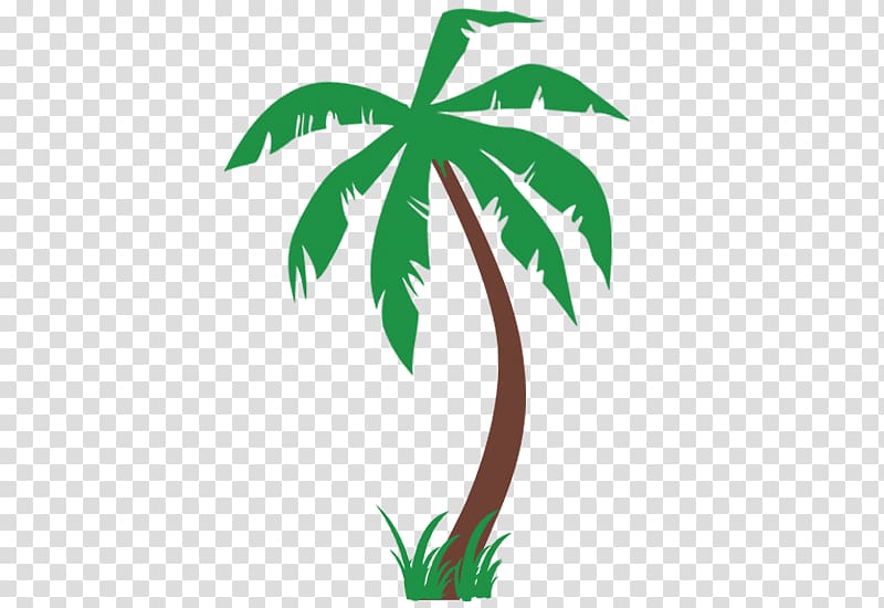 Arecaceae Decal Sticker Queen palm , wall decal transparent background PNG clipart