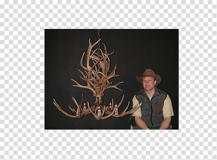 Mule deer Antlers By Cody Chandelier, Antler transparent background PNG clipart