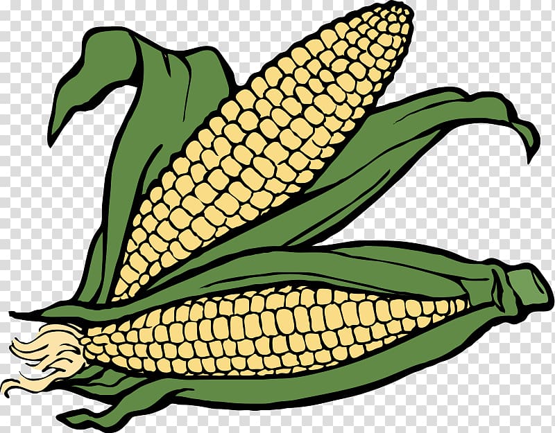 Crop Farm Agriculture , Ear Of Corn transparent background PNG clipart