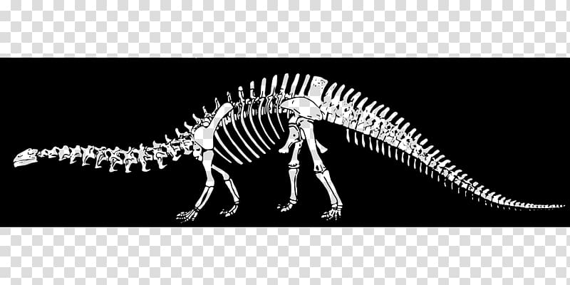 Velociraptor The Lost World ARK: Survival Evolved Dinosaur Tyrannosaurus, dinosaur transparent background PNG clipart