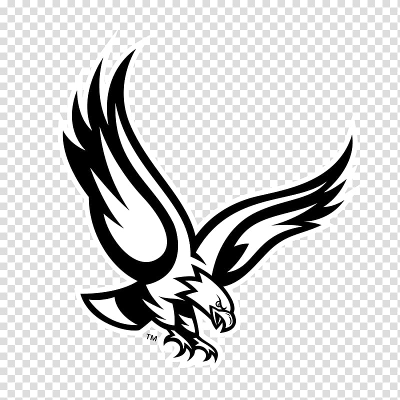 Philadelphia Eagles Bald Eagle, philadelphia eagles transparent background PNG clipart
