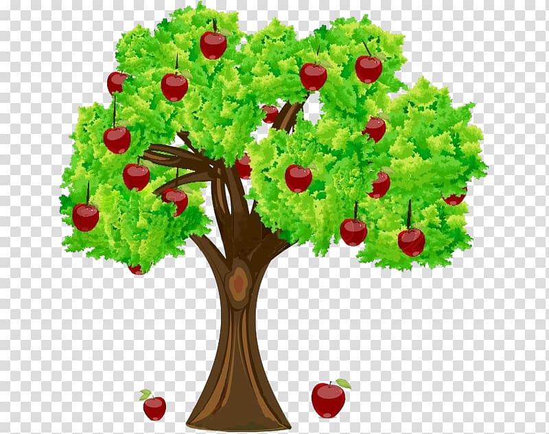 Free download | Apple Fruit tree , apple transparent background PNG