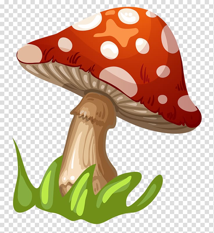 Fungus Mushroom , Grown mushrooms transparent background PNG clipart