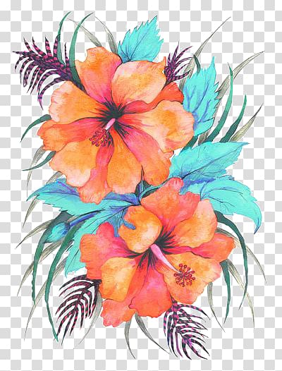 orange flowers transparent background PNG clipart