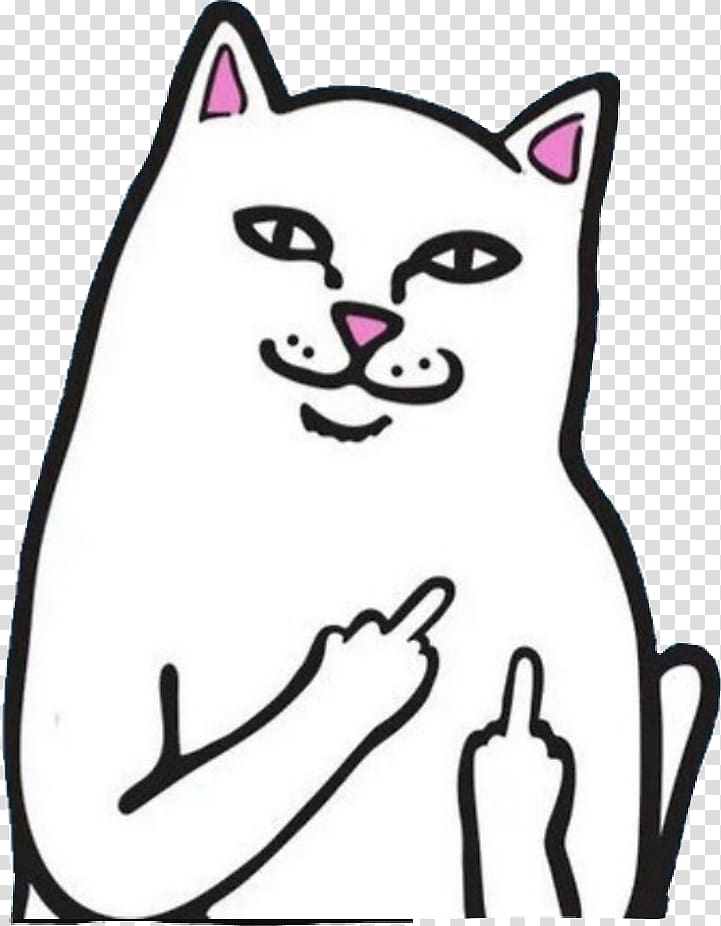 Cat Internet troll T-shirt Sticker Middle finger, Cat transparent background PNG clipart