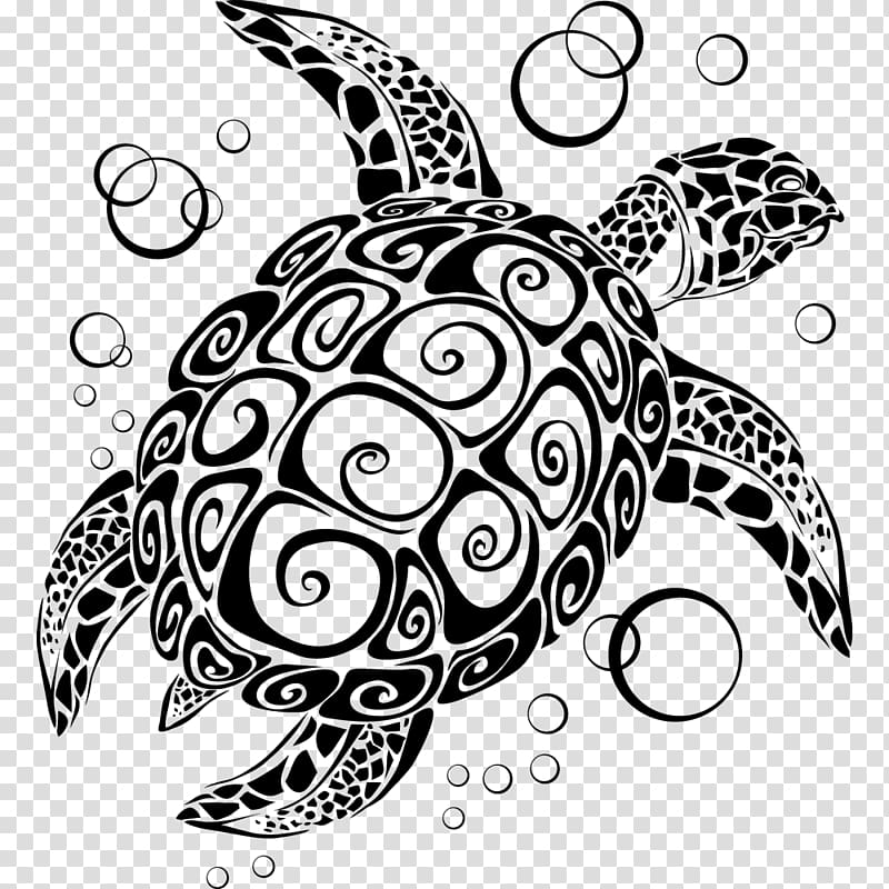 Abziehtattoo Turtle Polynesia Amazon.com, watercolour animals transparent background PNG clipart