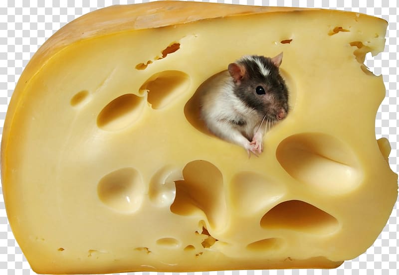 Cheese transparent background PNG clipart