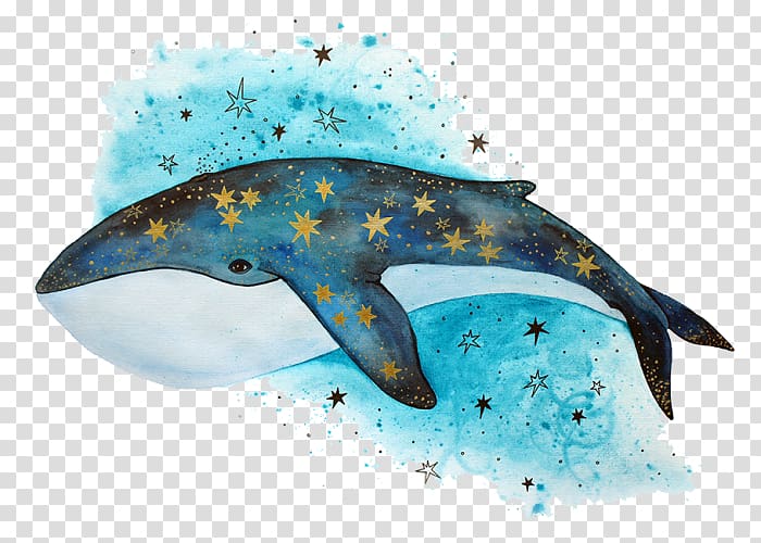Cetacea Drawing Killer whale Humpback whale Whale watching, blue whale transparent background PNG clipart