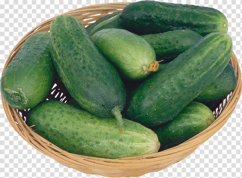 Auglis Cucumber Cultivar Tomato Vegetable, cucumber transparent background PNG clipart