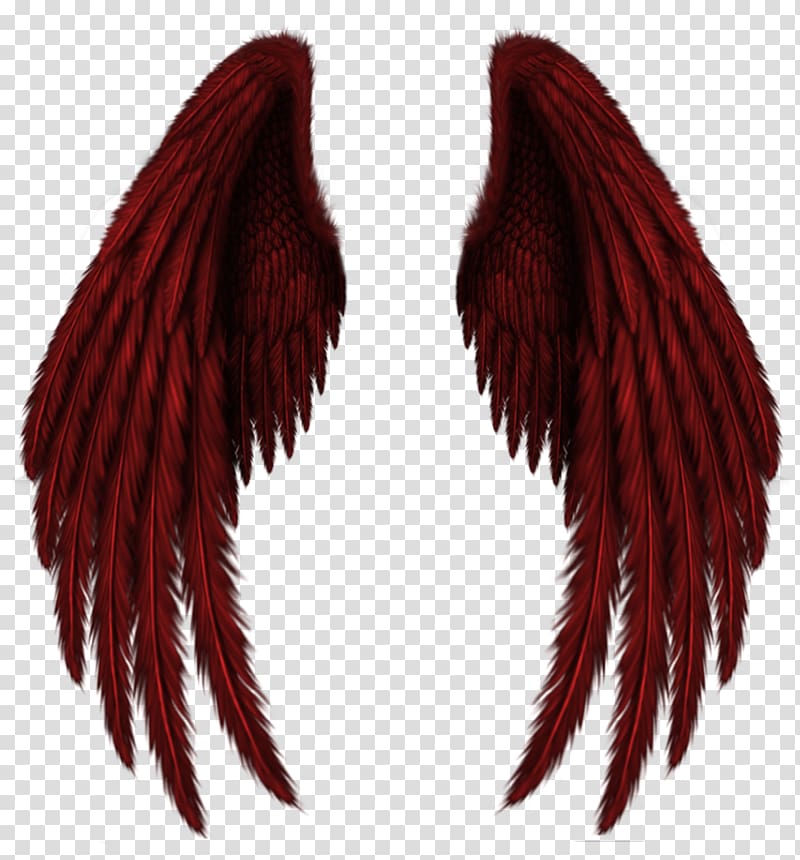 Wings transparent background PNG clipart