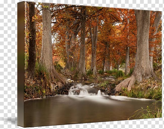 Guadalupe River Gallery wrap /m/083vt Painting Canvas, Hill river transparent background PNG clipart
