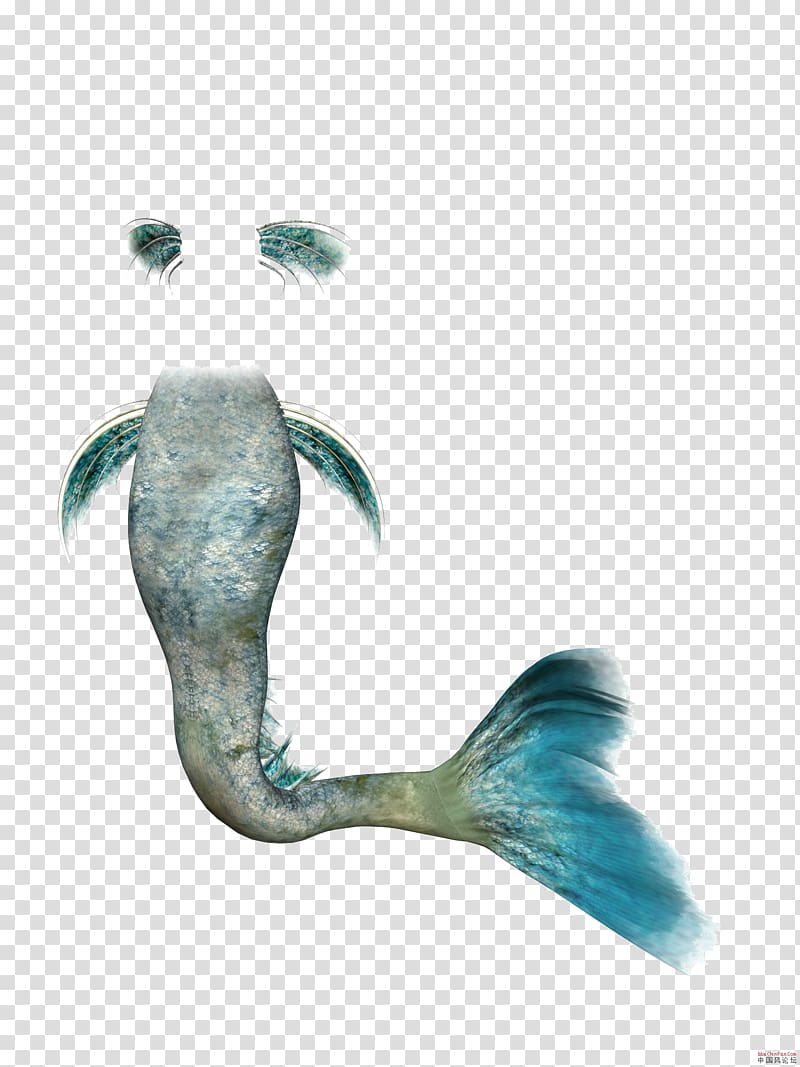mermaid illustration, Mermaid Rusalka , Mermaid tail transparent background PNG clipart