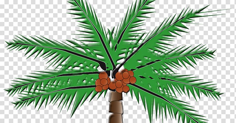 Arecaceae Coconut milk Coconut oil, coconut tree transparent background PNG clipart