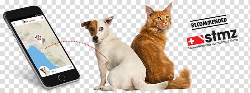 Dog Maine Coon , Pointer DOG transparent background PNG clipart