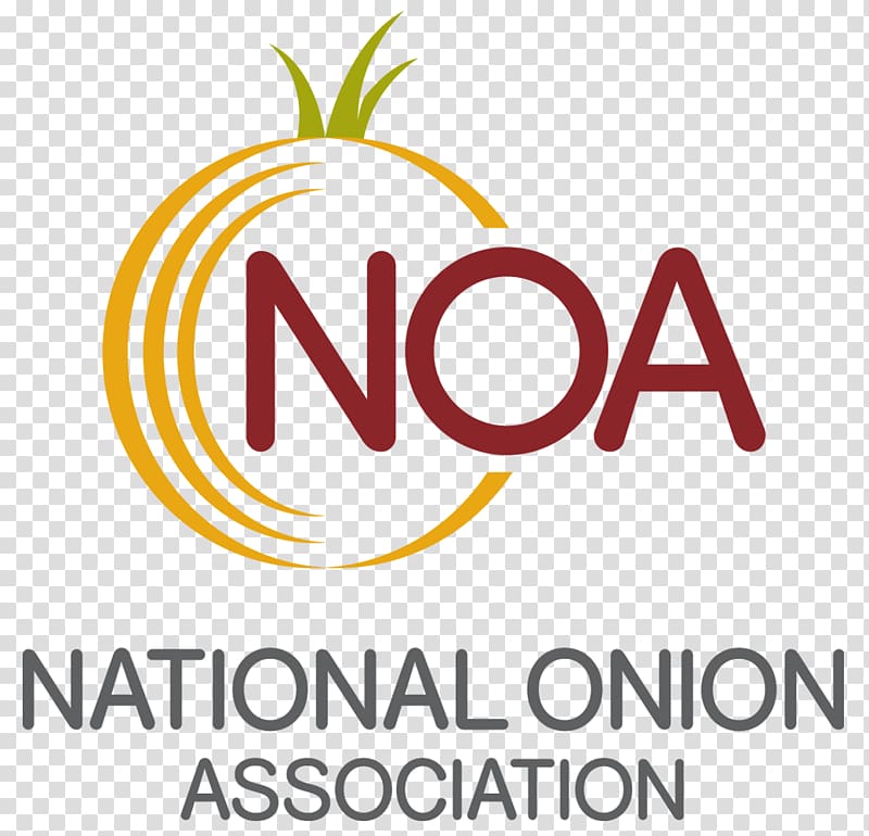 Cheese and onion pie National Onion Association Quiche Cooking Potato onion, cooking transparent background PNG clipart