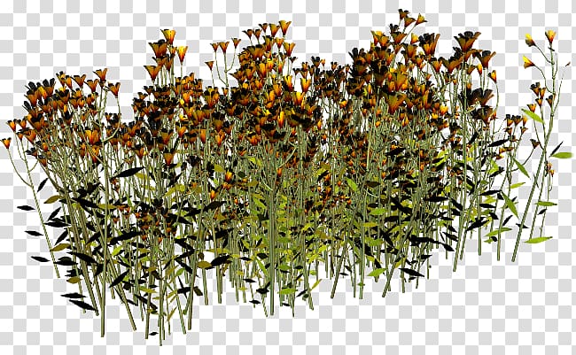 Scape GIMP , flowers grass transparent background PNG clipart