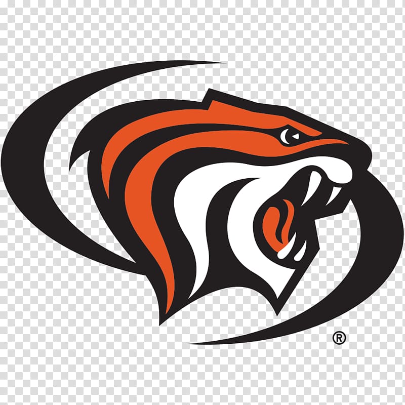 University of the Pacific California Baptist University Pacific Tigers men\'s basketball Azusa Pacific University University of Maryland, College Park, south china tiger transparent background PNG clipart