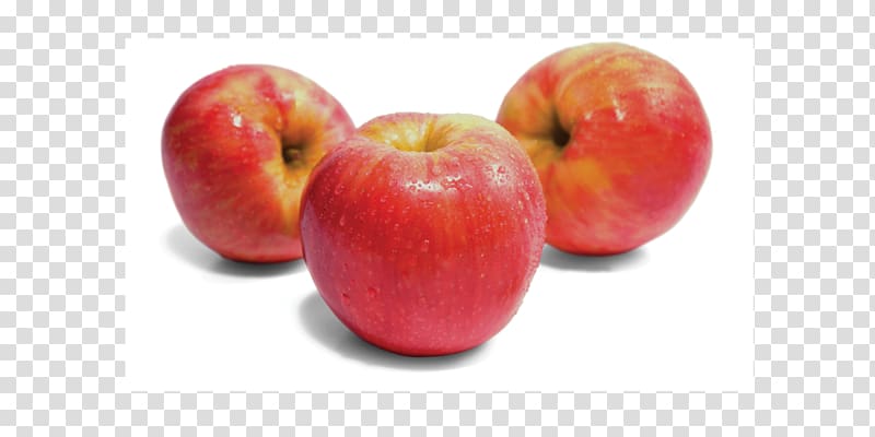 McIntosh Honeycrisp Apple Gala, apple transparent background PNG clipart