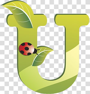 Leaf , design transparent background PNG clipart thumbnail