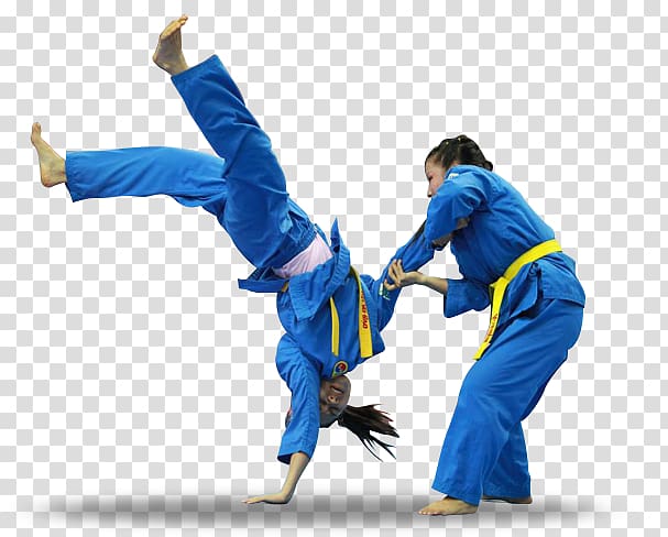 Judo Vovinam Martial arts Karate Taekkyeon, karate transparent background PNG clipart