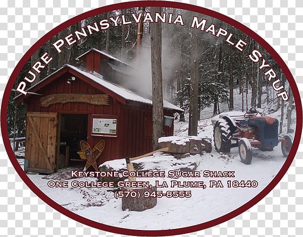 La Plume, Pennsylvania Mustard Sugar Shack Maple syrup Maine, maple syrup transparent background PNG clipart