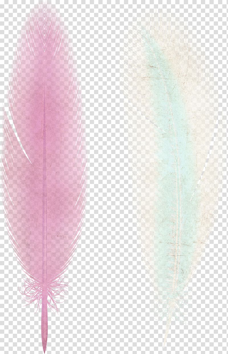 Pink ribbon Feather, Pink feather transparent background PNG clipart