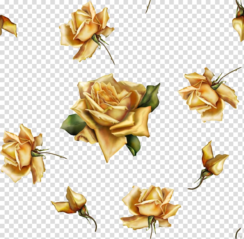 rose illustration, Flower Beach rose Gold, k transparent background PNG clipart