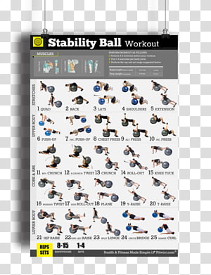 Exercise Balls Abdominal exercise Core Physical fitness, back exercises transparent background PNG clipart thumbnail