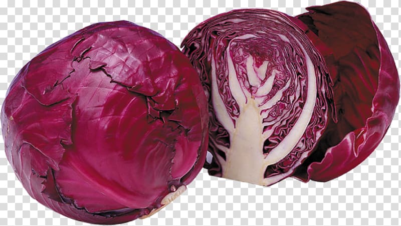 Red cabbage Broccoli Brussels sprout Chinese cuisine, Purple cabbage transparent background PNG clipart